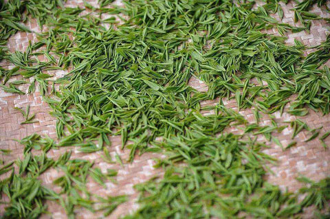 Formosa Green Dragon Oolong Tea... gourmet coffees and teas - My Shop Coffee