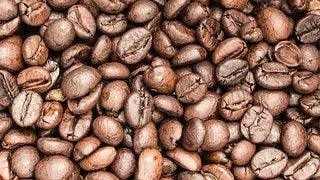 French Roast Coffee - My Shop Coffee