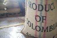 Colombia Supremo 'La Valle Verde' Coffee