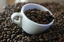 El Salvador Finca Montes Urales Coffee - My Shop Coffee